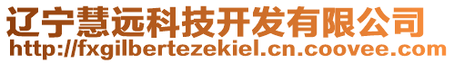遼寧慧遠科技開發有限公司