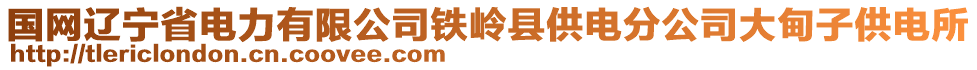 國網(wǎng)遼寧省電力有限公司鐵嶺縣供電分公司大甸子供電所