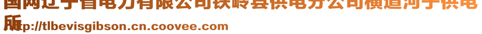 國(guó)網(wǎng)遼寧省電力有限公司鐵嶺縣供電分公司橫道河子供電
所