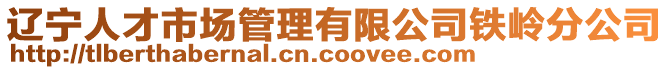 遼寧人才市場管理有限公司鐵嶺分公司