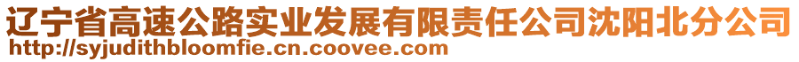 遼寧省高速公路實(shí)業(yè)發(fā)展有限責(zé)任公司沈陽北分公司