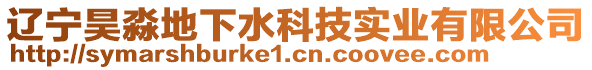 遼寧昊淼地下水科技實(shí)業(yè)有限公司