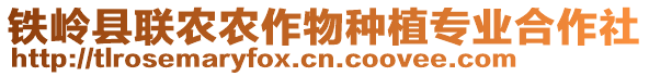 鐵嶺縣聯(lián)農(nóng)農(nóng)作物種植專業(yè)合作社