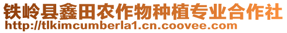 鐵嶺縣鑫田農(nóng)作物種植專業(yè)合作社