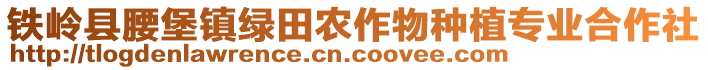 鐵嶺縣腰堡鎮(zhèn)綠田農(nóng)作物種植專業(yè)合作社