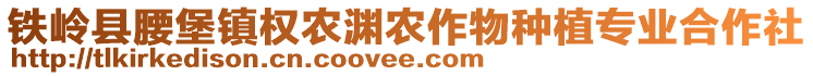 鐵嶺縣腰堡鎮(zhèn)權(quán)農(nóng)淵農(nóng)作物種植專業(yè)合作社