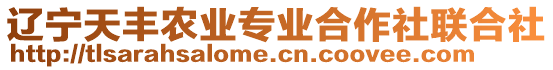 遼寧天豐農(nóng)業(yè)專業(yè)合作社聯(lián)合社