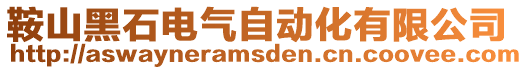 鞍山黑石電氣自動化有限公司