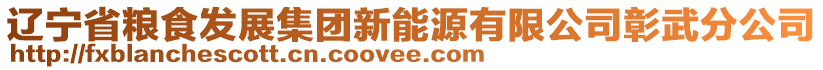 遼寧省糧食發(fā)展集團新能源有限公司彰武分公司