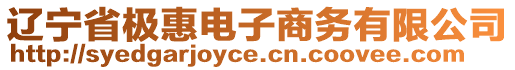 遼寧省極惠電子商務(wù)有限公司