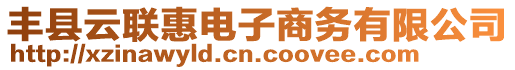 豐縣云聯(lián)惠電子商務(wù)有限公司