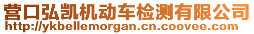 营口弘凯机动车检测有限公司