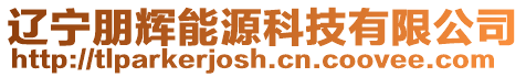遼寧朋輝能源科技有限公司