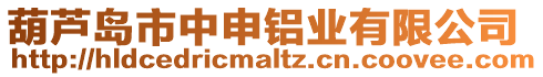 葫蘆島市中申鋁業(yè)有限公司