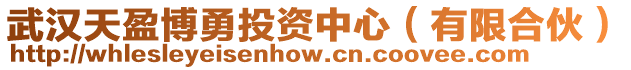 武漢天盈博勇投資中心(有限合伙)