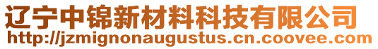 遼寧中錦新材料科技有限公司