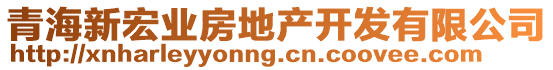 青海新宏業(yè)房地產開發(fā)有限公司