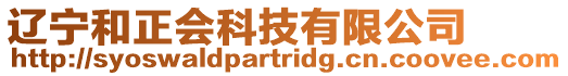 遼寧和正會科技有限公司