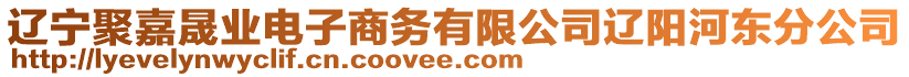 遼寧聚嘉晟業(yè)電子商務(wù)有限公司遼陽河?xùn)|分公司