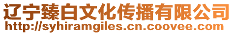 遼寧臻白文化傳播有限公司