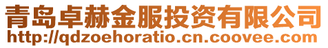 青島卓赫金服投資有限公司