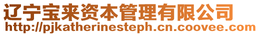 遼寧寶來資本管理有限公司