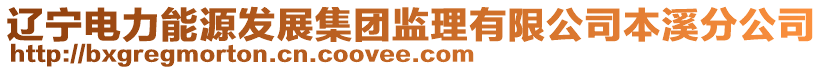 遼寧電力能源發(fā)展集團(tuán)監(jiān)理有限公司本溪分公司
