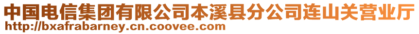 中國電信集團有限公司本溪縣分公司連山關營業(yè)廳