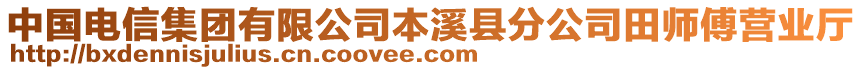 中國電信集團有限公司本溪縣分公司田師傅營業(yè)廳