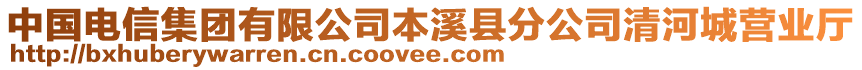 中國電信集團(tuán)有限公司本溪縣分公司清河城營業(yè)廳