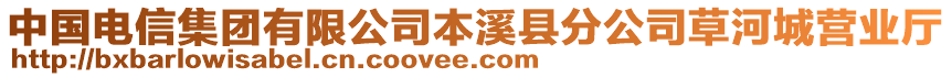 中國電信集團有限公司本溪縣分公司草河城營業(yè)廳