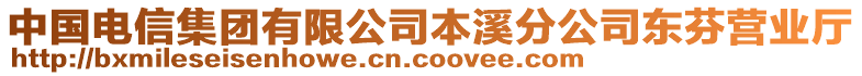 中國(guó)電信集團(tuán)有限公司本溪分公司東芬營(yíng)業(yè)廳