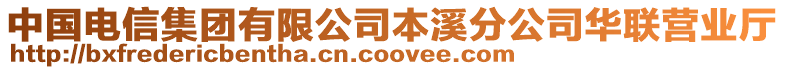 中國電信集團有限公司本溪分公司華聯營業廳