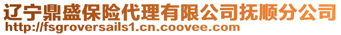 遼寧鼎盛保險(xiǎn)代理有限公司撫順分公司