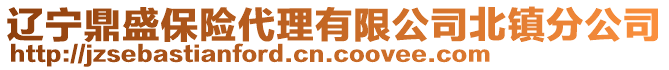 辽宁鼎盛保险代理有限公司北镇分公司