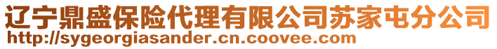遼寧鼎盛保險(xiǎn)代理有限公司蘇家屯分公司