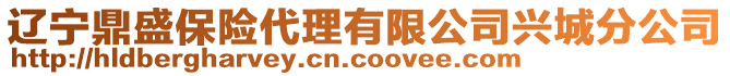 遼寧鼎盛保險代理有限公司興城分公司