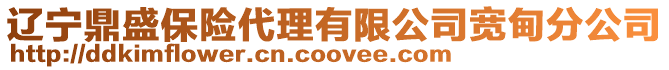 遼寧鼎盛保險代理有限公司寬甸分公司