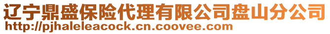 遼寧鼎盛保險代理有限公司盤山分公司