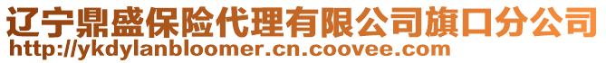 遼寧鼎盛保險代理有限公司旗口分公司