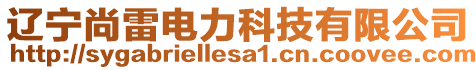 遼寧尚雷電力科技有限公司