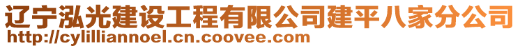 遼寧泓光建設(shè)工程有限公司建平八家分公司