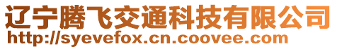 遼寧騰飛交通科技有限公司
