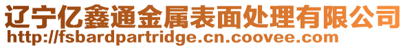 遼寧億鑫通金屬表面處理有限公司