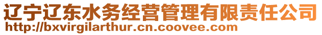 遼寧遼東水務(wù)經(jīng)營管理有限責(zé)任公司