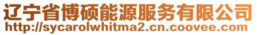 遼寧省博碩能源服務有限公司