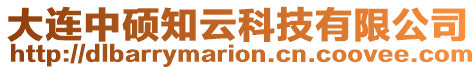 大連中碩知云科技有限公司