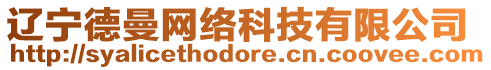 遼寧德曼網(wǎng)絡(luò)科技有限公司