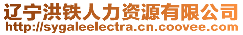 遼寧洪鐵人力資源有限公司