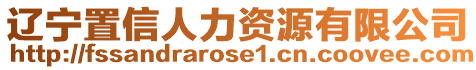 遼寧置信人力資源有限公司